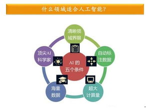 金準數(shù)據(jù)最新研究揭示 人工智能應(yīng)用軟件開發(fā)驅(qū)動行業(yè)縱深發(fā)展